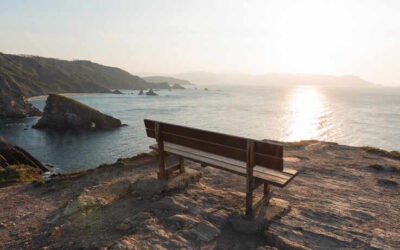 Preparing for the Questions & Surviving the Shock After Loss